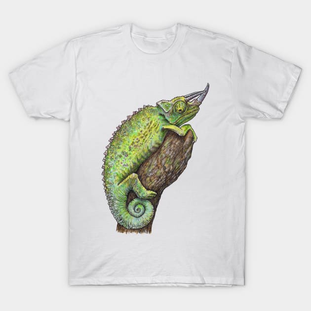 JACKSON'S CHAMELEON T-Shirt by PaddlesworthDraws